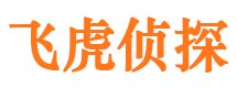 闵行市侦探调查公司